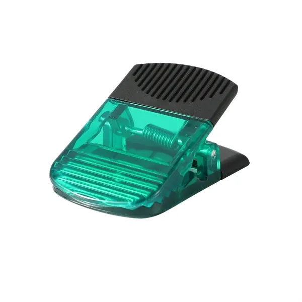 Normal Shape Magnet Memo Clip