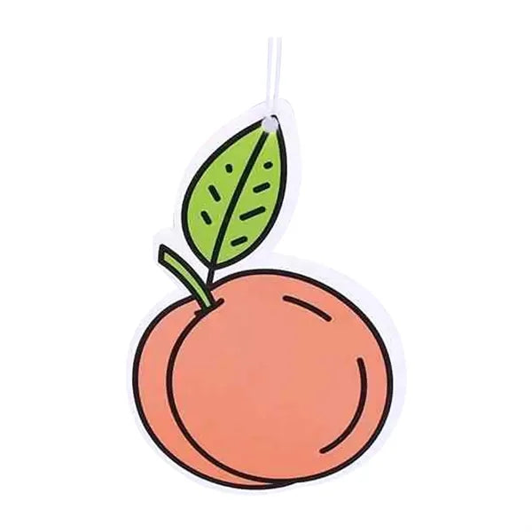 Hanging Air Fresheners for Car and Home