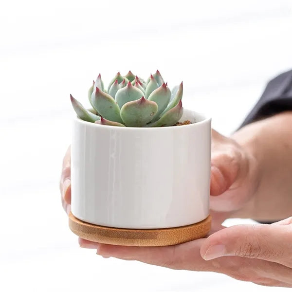 Ceramic Flower Planter Pot with Bamboo Tray