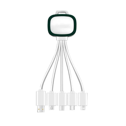 Light Up 5 In 1 Usb Charging Cable