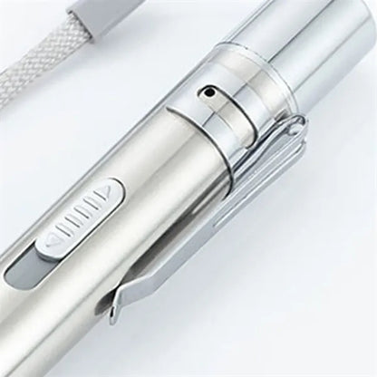 Mini Portable Flashlight Pet Interactive Toy