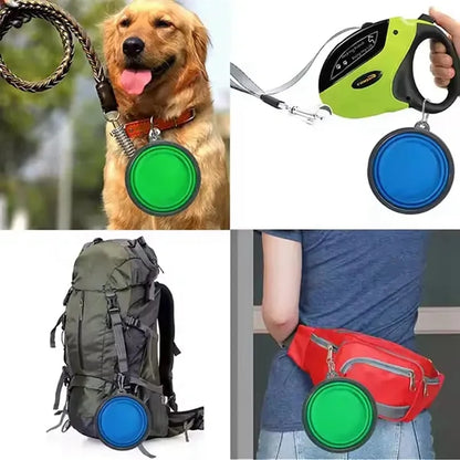 Silicone Collapsible Pet Bowl With Carabiner