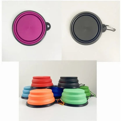 Silicone Collapsible Pet Bowl With Carabiner