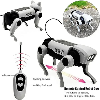 Remote Control Robot Dog