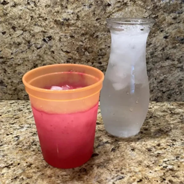16 OZ PP Color Changing Stadium Cups
