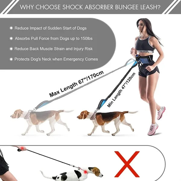 Adjustable Waist Belt with Dog Leash