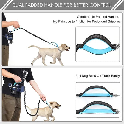 Adjustable Waist Belt with Dog Leash