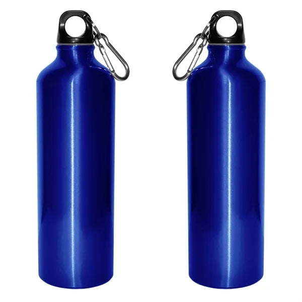 Aluminum 28 Oz Sports Bottle