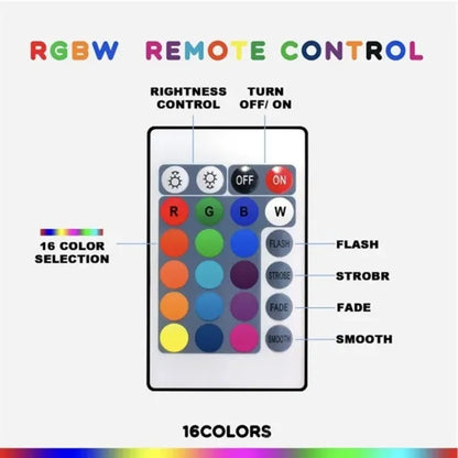Light Up Beach Balls with Remote Control