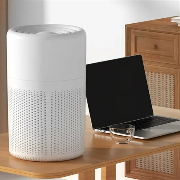 Portable Dual Filtration Air Purifier