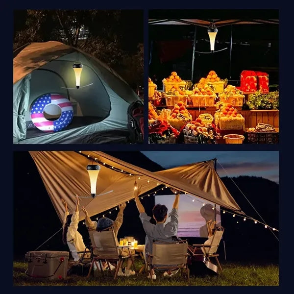 Multi-Functional Fly Repellent Fan