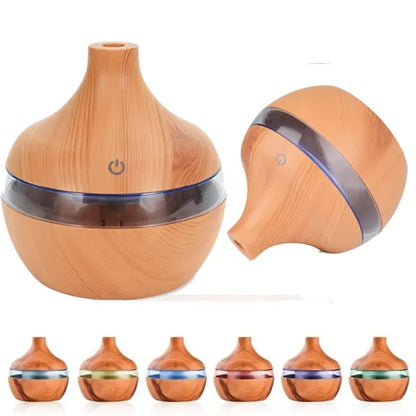 Mini USB Diffuser Humidifier