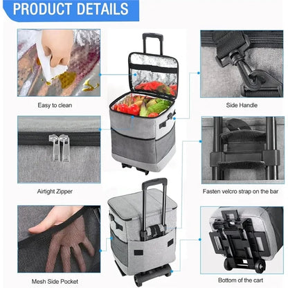 Collapsible Large Rolling Cooler