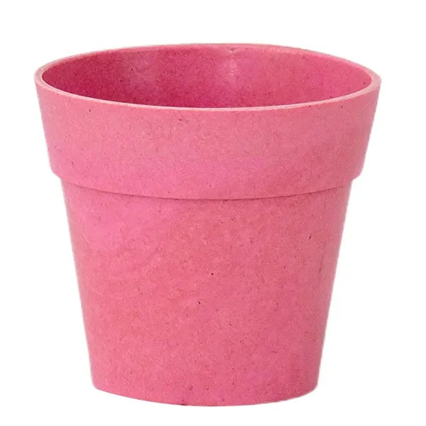 Mini Bamboo Flower Pot