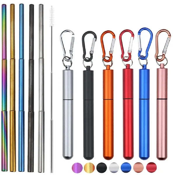 Portable Stainless Steel Straw Set with Carry Case