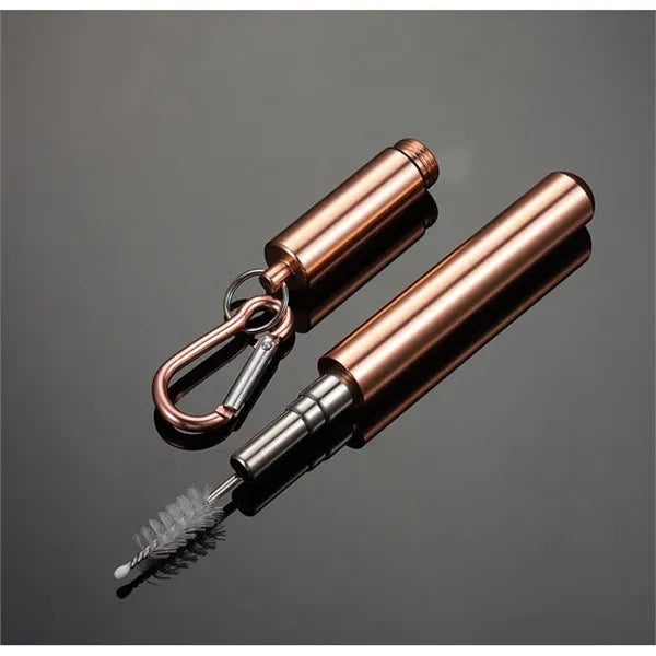 Portable Stainless Steel Straw Set with Carry Case