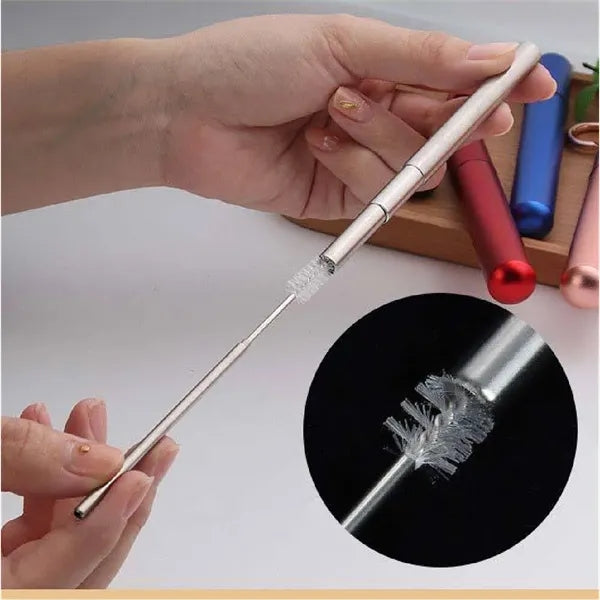 Portable Stainless Steel Straw Set with Carry Case