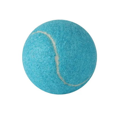 Pet ToyTennis Ball