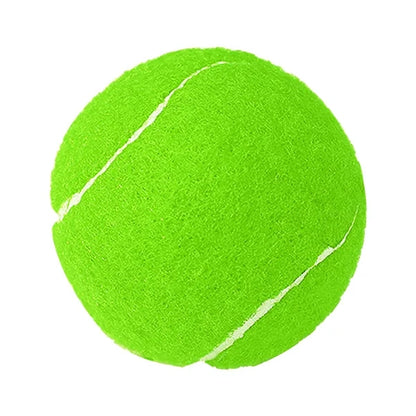Pet ToyTennis Ball