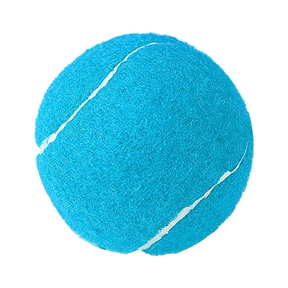 Pet ToyTennis Ball