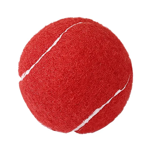 Pet ToyTennis Ball
