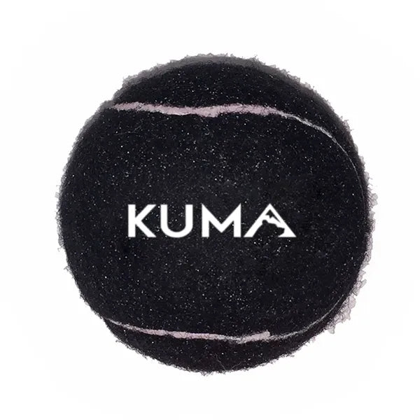 Pet Tennis Ball Toy