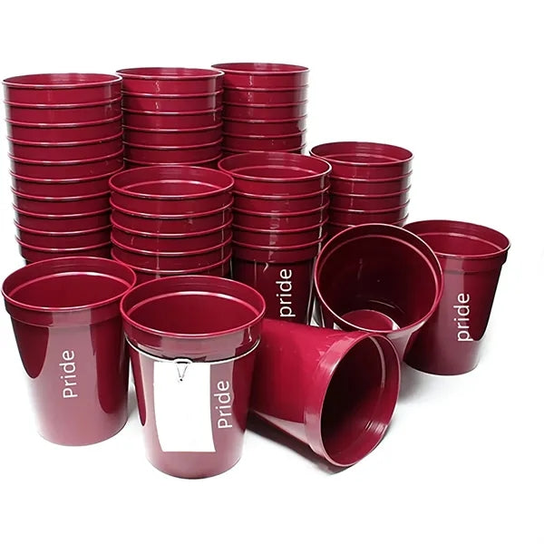 Stadium Cup