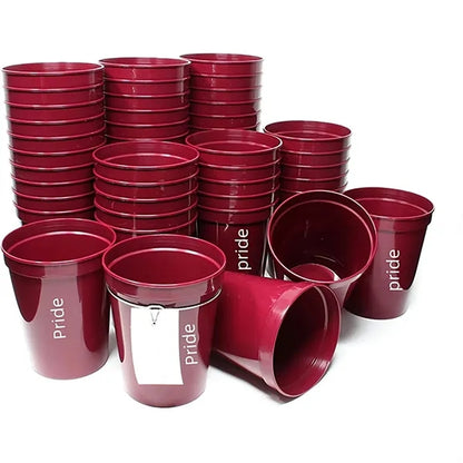 Stadium Cup