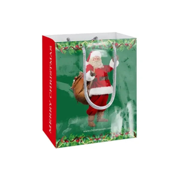 Printed Gloss Paper Bags (300 GSM Art Paper)