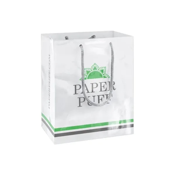 Printed Gloss Paper Bags (300 GSM Art Paper)