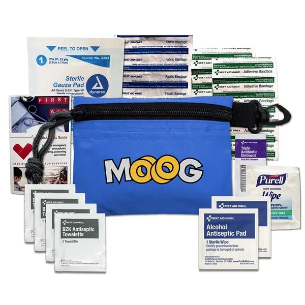 Mini First Aid Kit