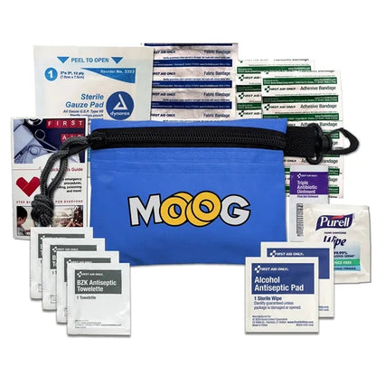 Mini First Aid Kit