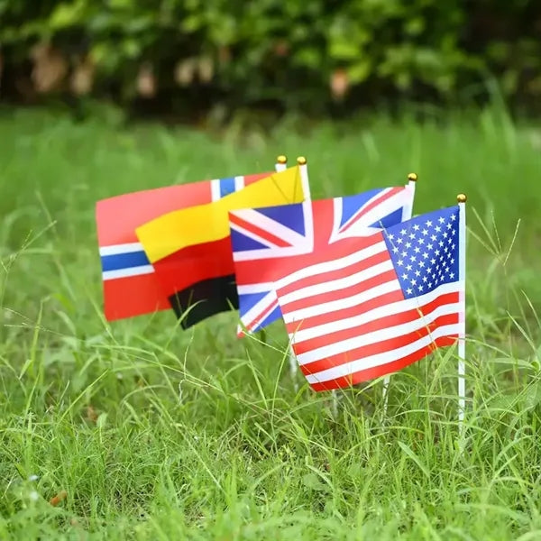 Custom Hand Waving Flag
