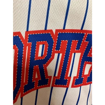 Sublimation UPF Mesh Full-Button Baseball Jersey - Men Women