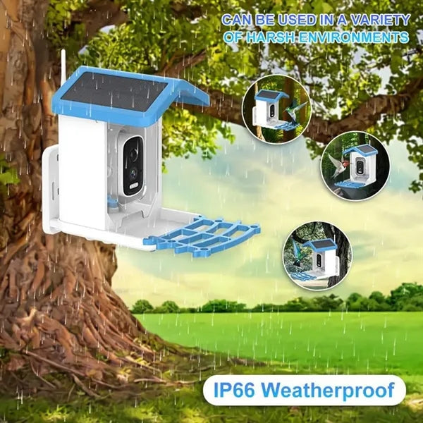 Smart Bird Feeder Camera with Solar Panel