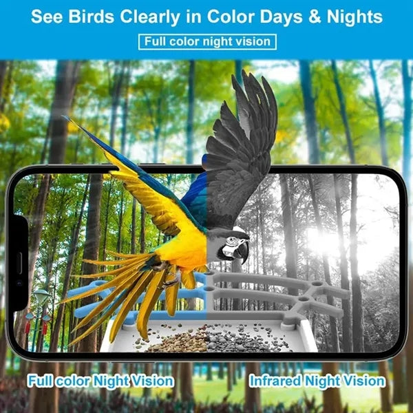 Smart Bird Feeder Camera with Solar Panel