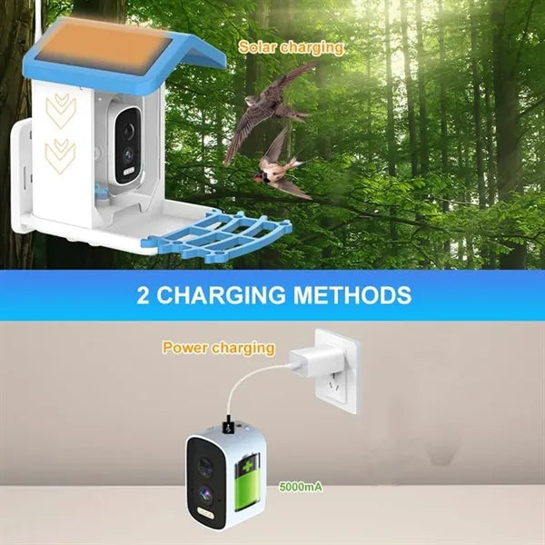 Smart Bird Feeder Camera with Solar Panel