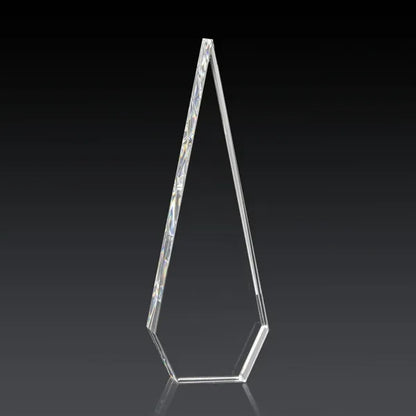 Springfield 3D Award