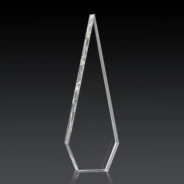 Springfield 3D Award