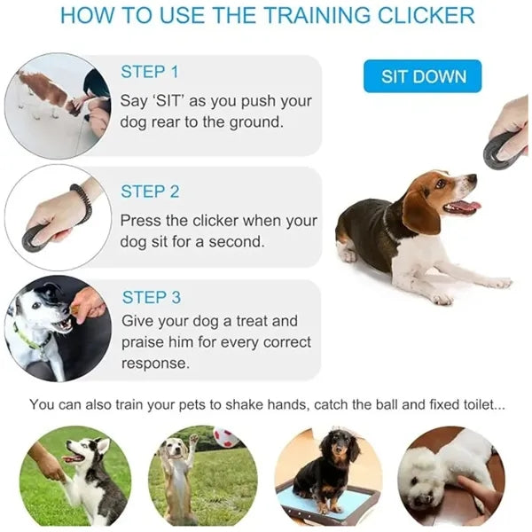 Scientific Training Clicker