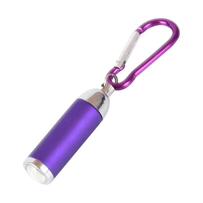 Led Light Carabiner Keychain