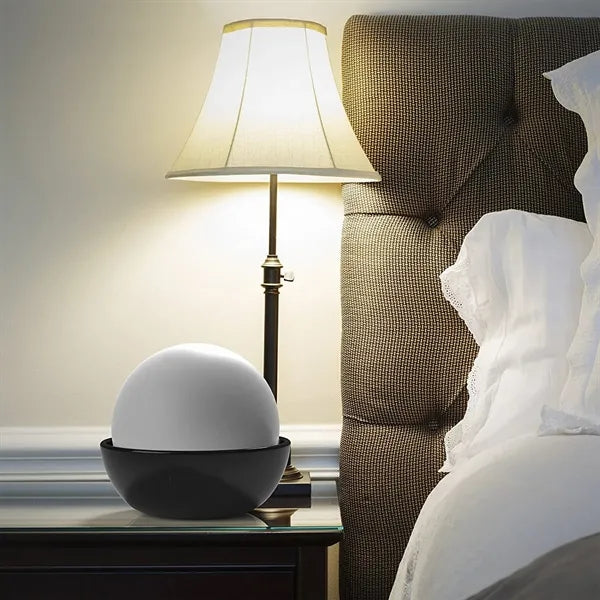 Set of 2 Non-Electric Ceramic Natural Humidifier