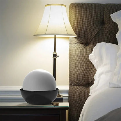 Set of 2 Non-Electric Ceramic Natural Humidifier