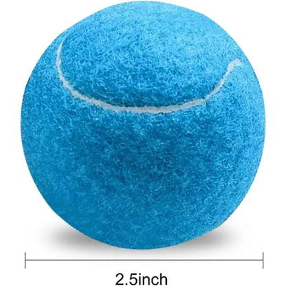 Pet Training Tennis Ball