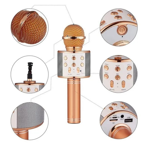 Bluetooth Microphone Party Speaker