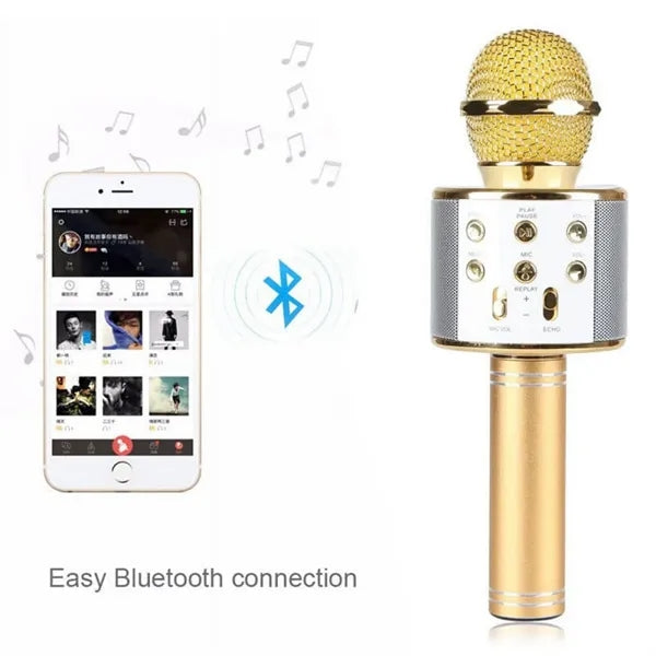 Bluetooth Microphone Party Speaker