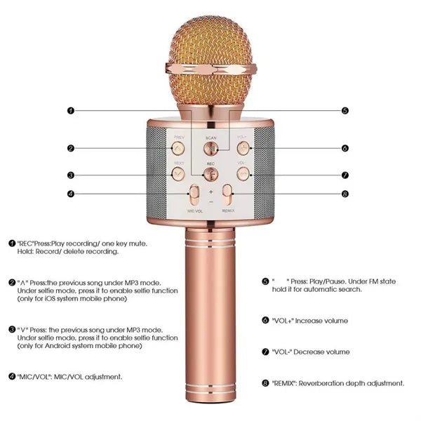 Bluetooth Microphone Party Speaker