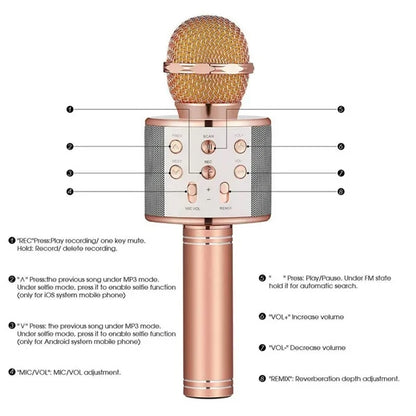 Bluetooth Microphone Party Speaker