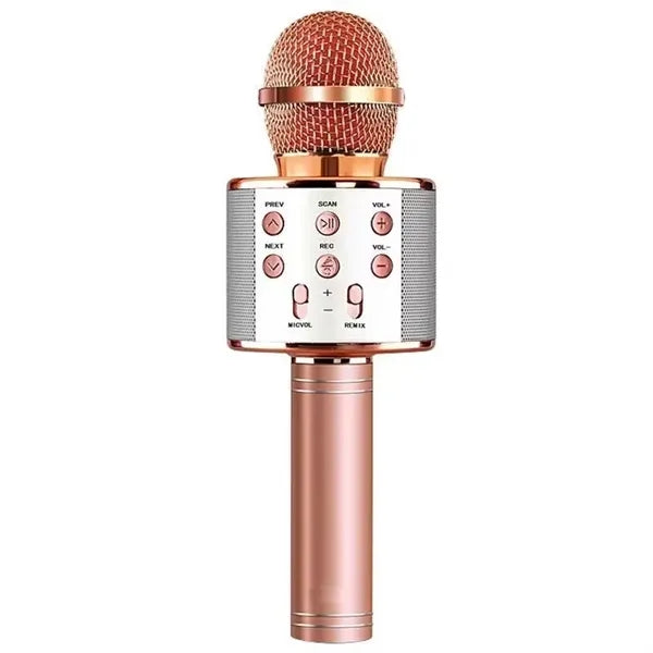 Bluetooth Microphone Party Speaker