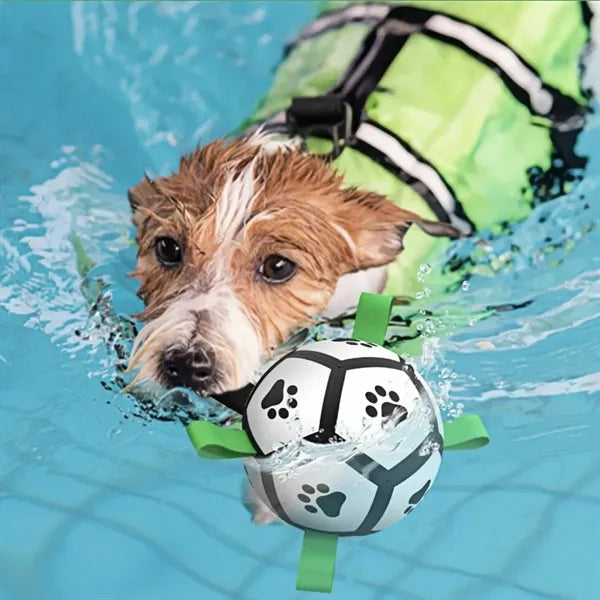 Interactive Dog Soccer Ball with Straps